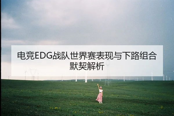 电竞EDG战队世界赛表现与下路组合默契解析