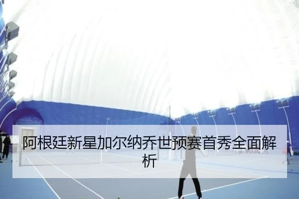 阿根廷新星加尔纳乔世预赛首秀全面解析